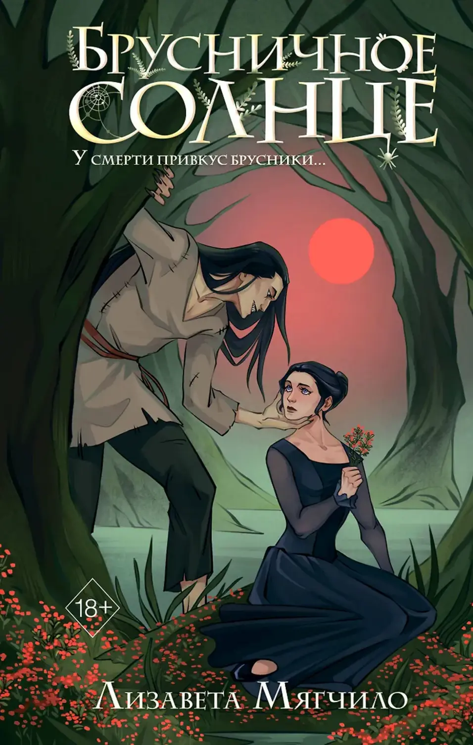 Обложка книги 