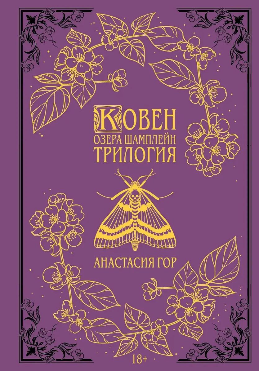 Обложка книги 