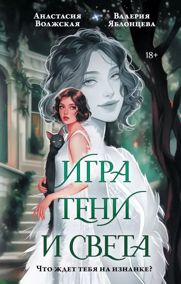 Обложка книги 