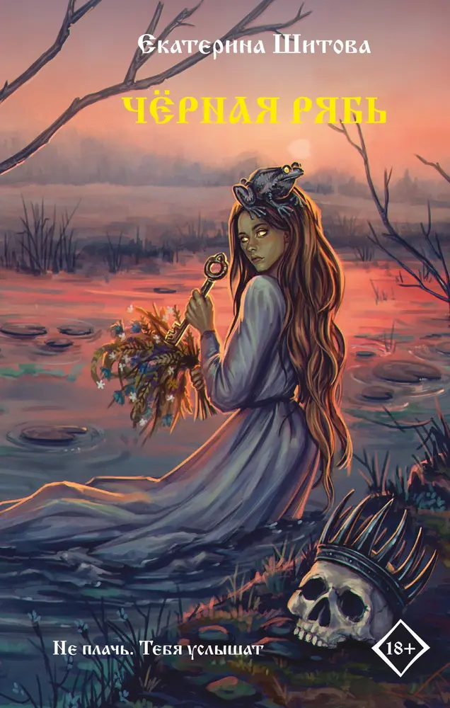 Обложка книги 