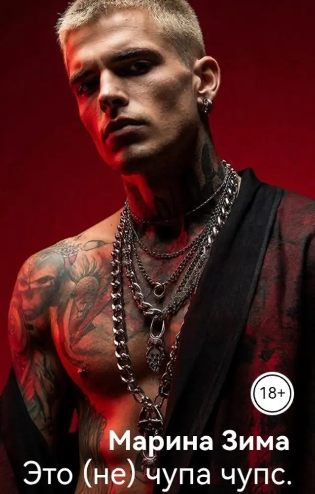 Обложка книги 