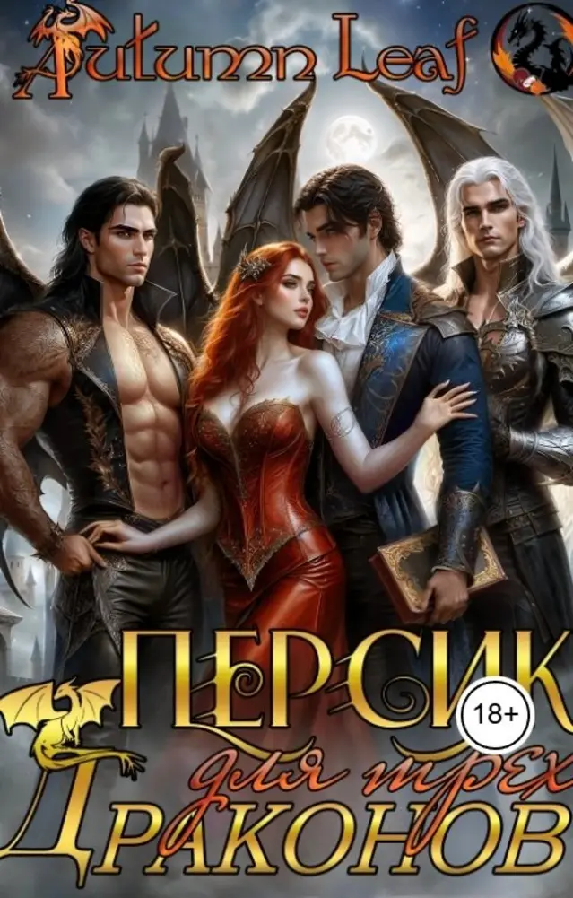 Обложка книги 