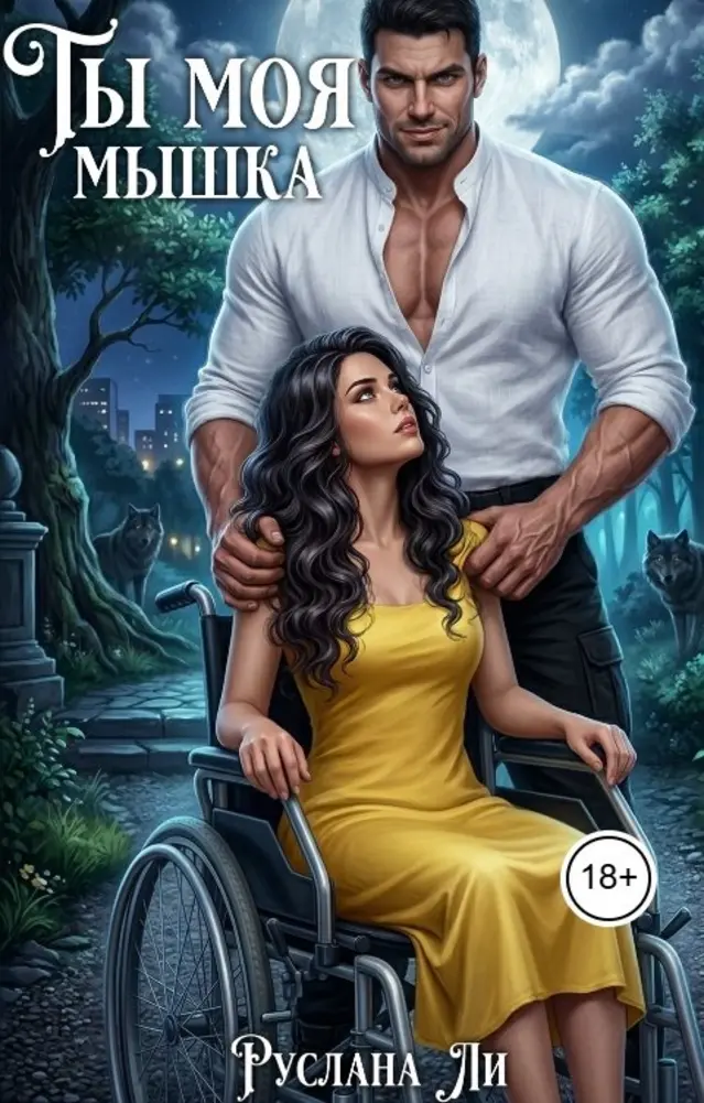 Обложка книги 