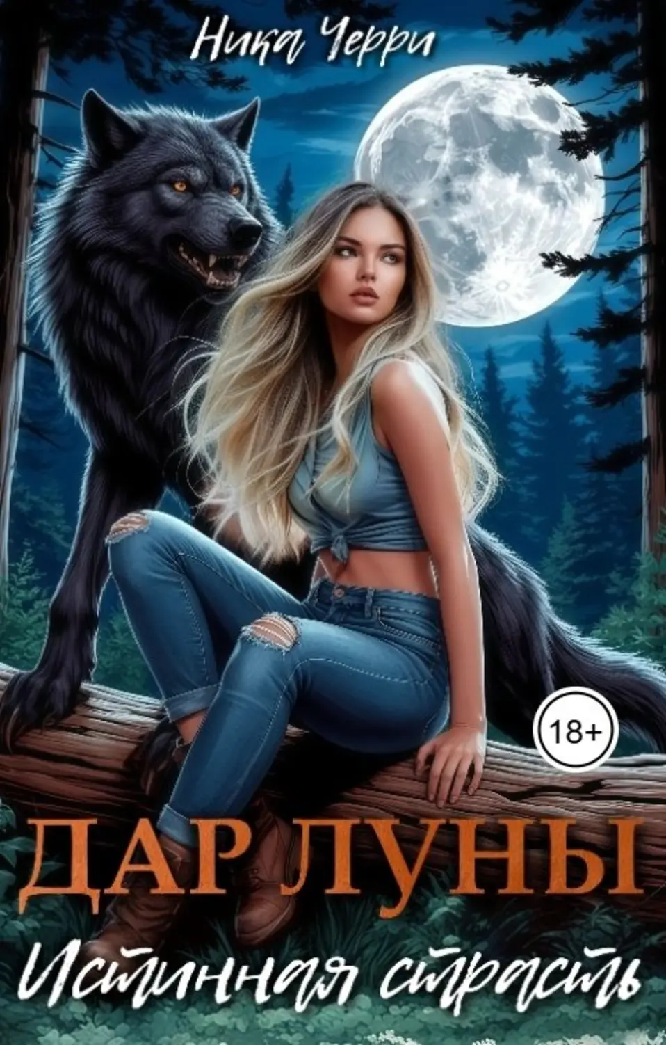 Обложка книги 