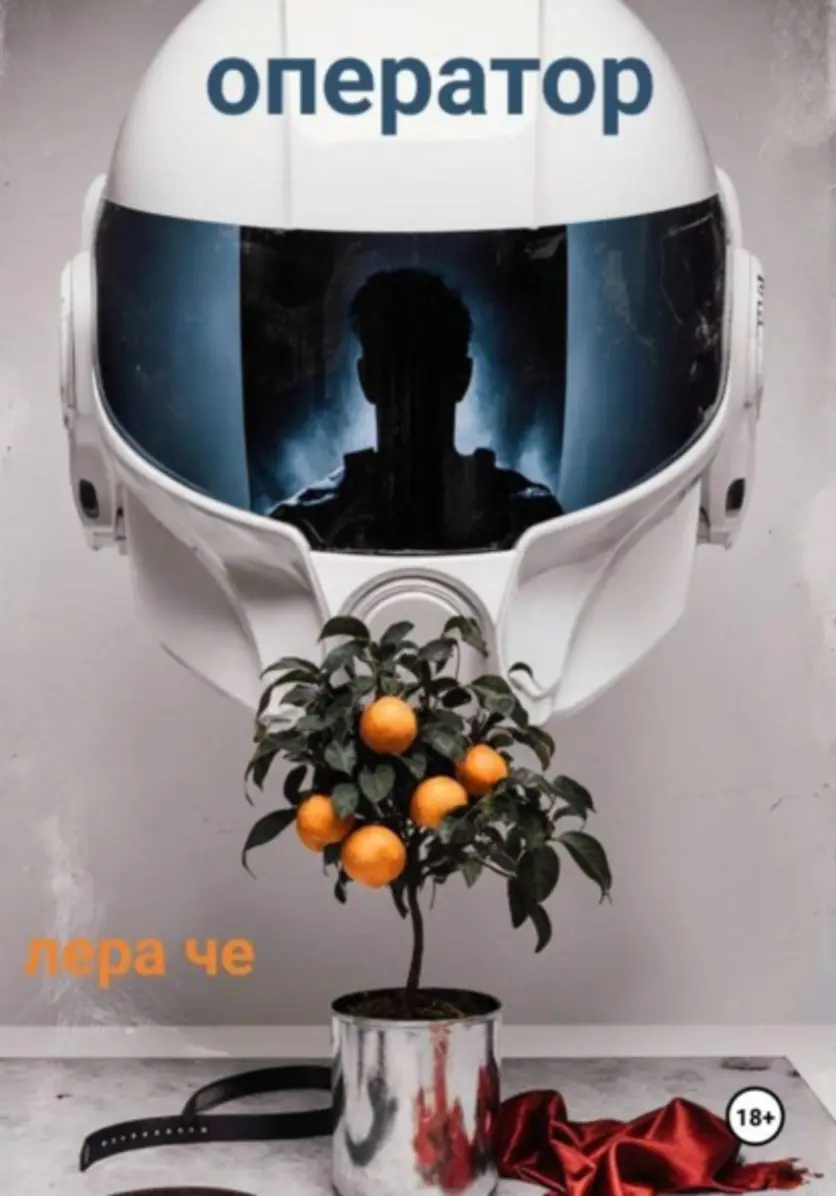 Обложка книги 