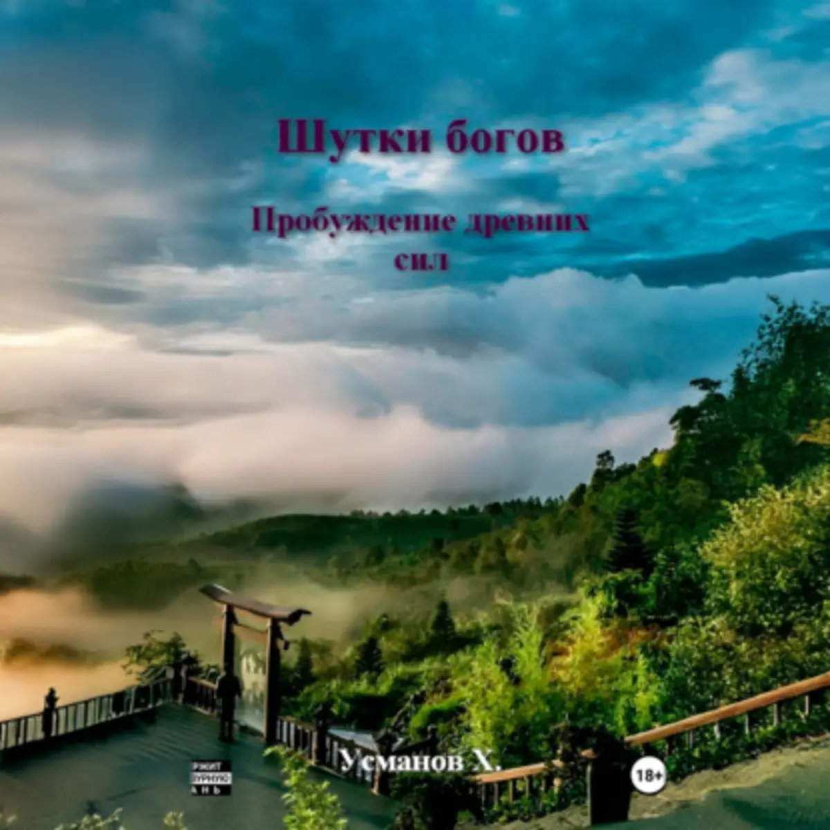 Обложка книги