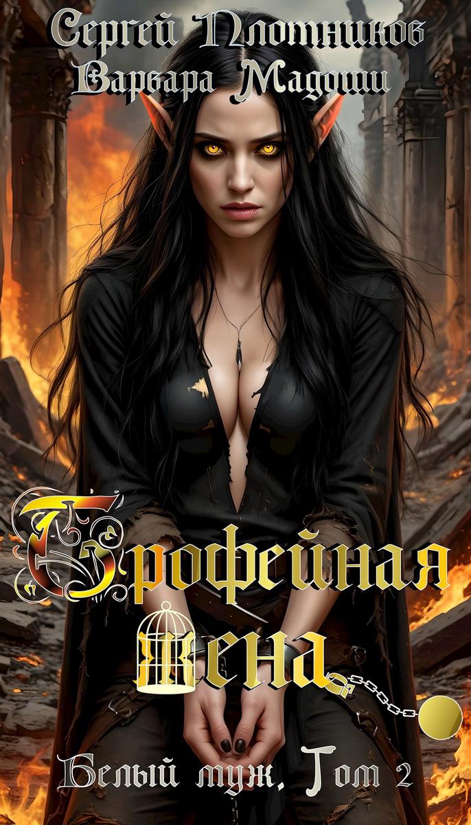 Обложка книги 