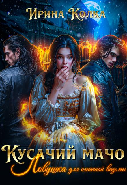 Обложка книги 