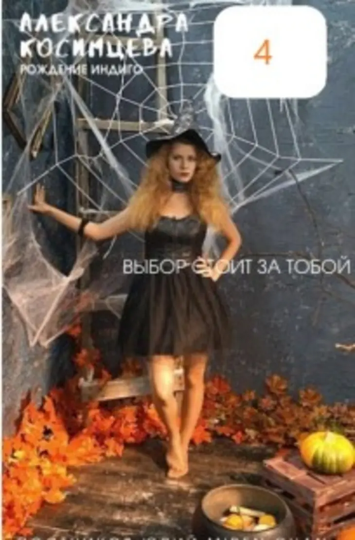 Обложка книги