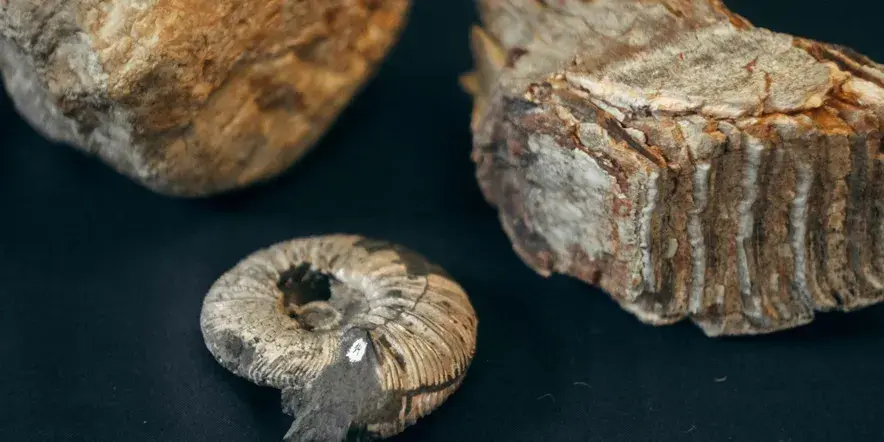 Интерактивная программа с масте-классом «Древний мир»