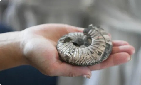 Интерактивна программа «Машина времени: эпоха неолита»