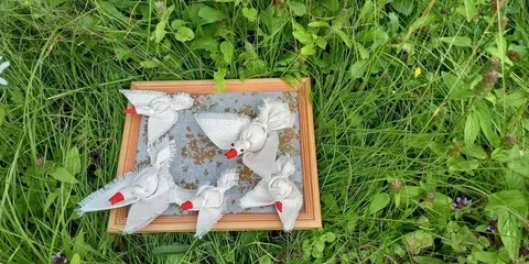 Краеведческое путешествие «По следам арзамасского гуся»