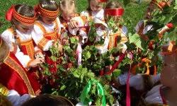 Программа «Троица»