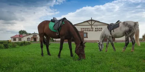 Конный двор