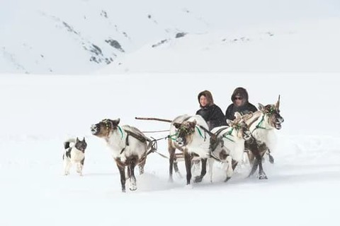 Выставка «Оленные люди»