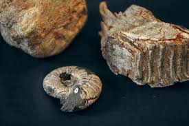 Интерактивная программа с масте-классом «Древний мир»