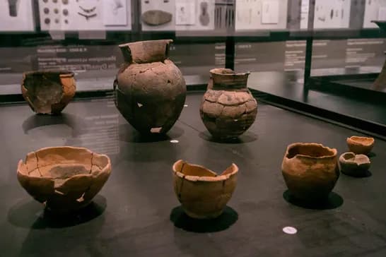 Выставка «Археология Приморья»