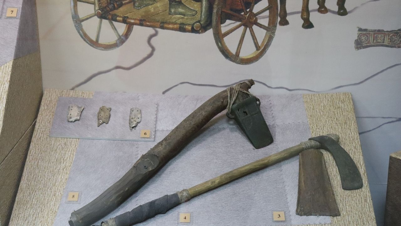 Выставка «Древняя история Омского Прииртышья»