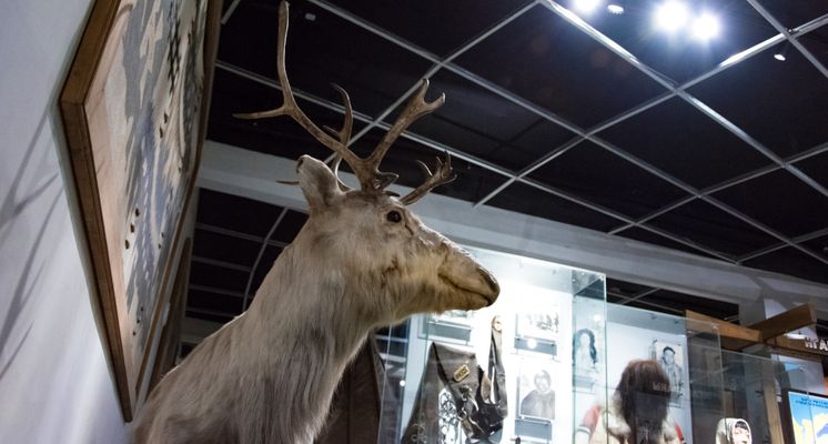 Игра «Этноквиз»