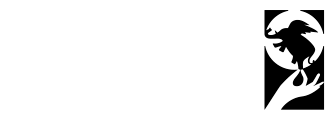 Московский детский театр теней