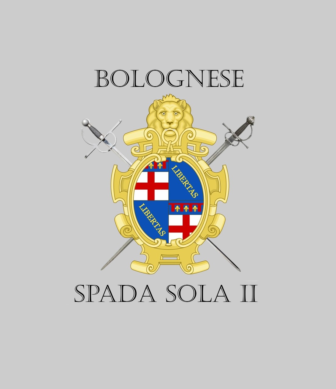 Открытый турнир "Bolognese spada sola II"