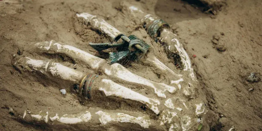 Программа «Археология: от раскопа до музея»