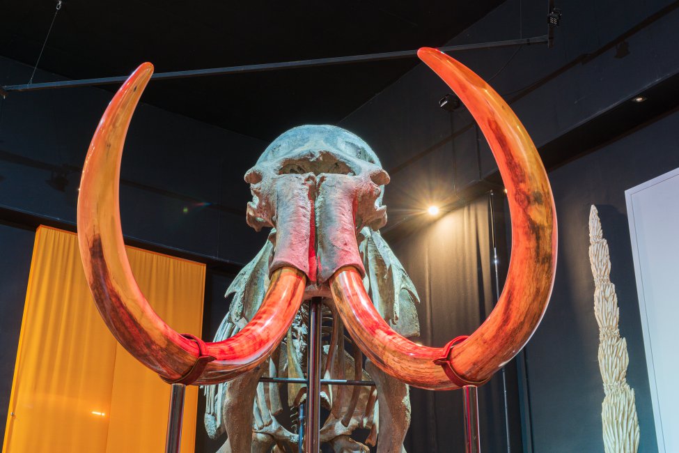 Экспозиция Музея пермских древностей