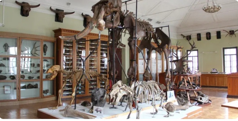 Геологический музей им. А. А. Штукенберга