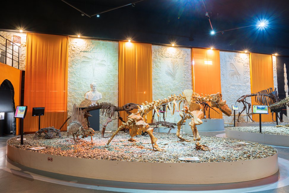 Экспозиция Музея пермских древностей