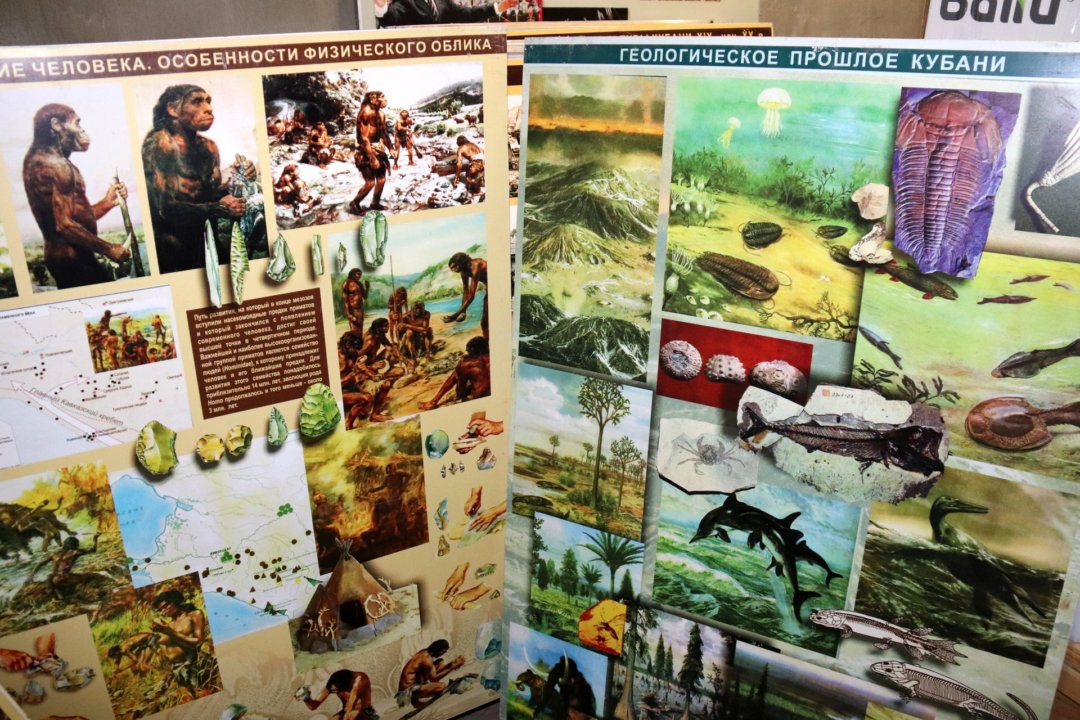 Передвижная выставка «Древнее прошлое Кубани»