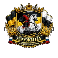 Герб семьи ДРУЖИНА