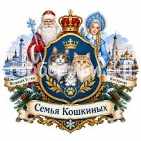 Герб семьи Семья Кошкиных на фоне Великого Устюга и Костромы и Дедушки Мороза и Снегурочки
