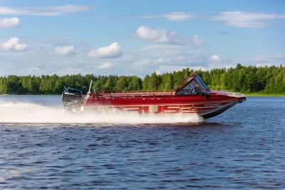 Борус 450