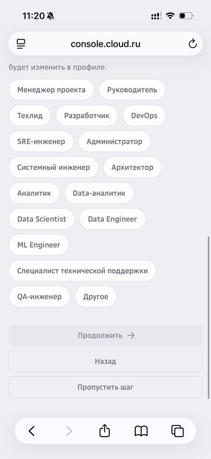 Экран анкеты с выбором роли: руководитель, разработчик и другие