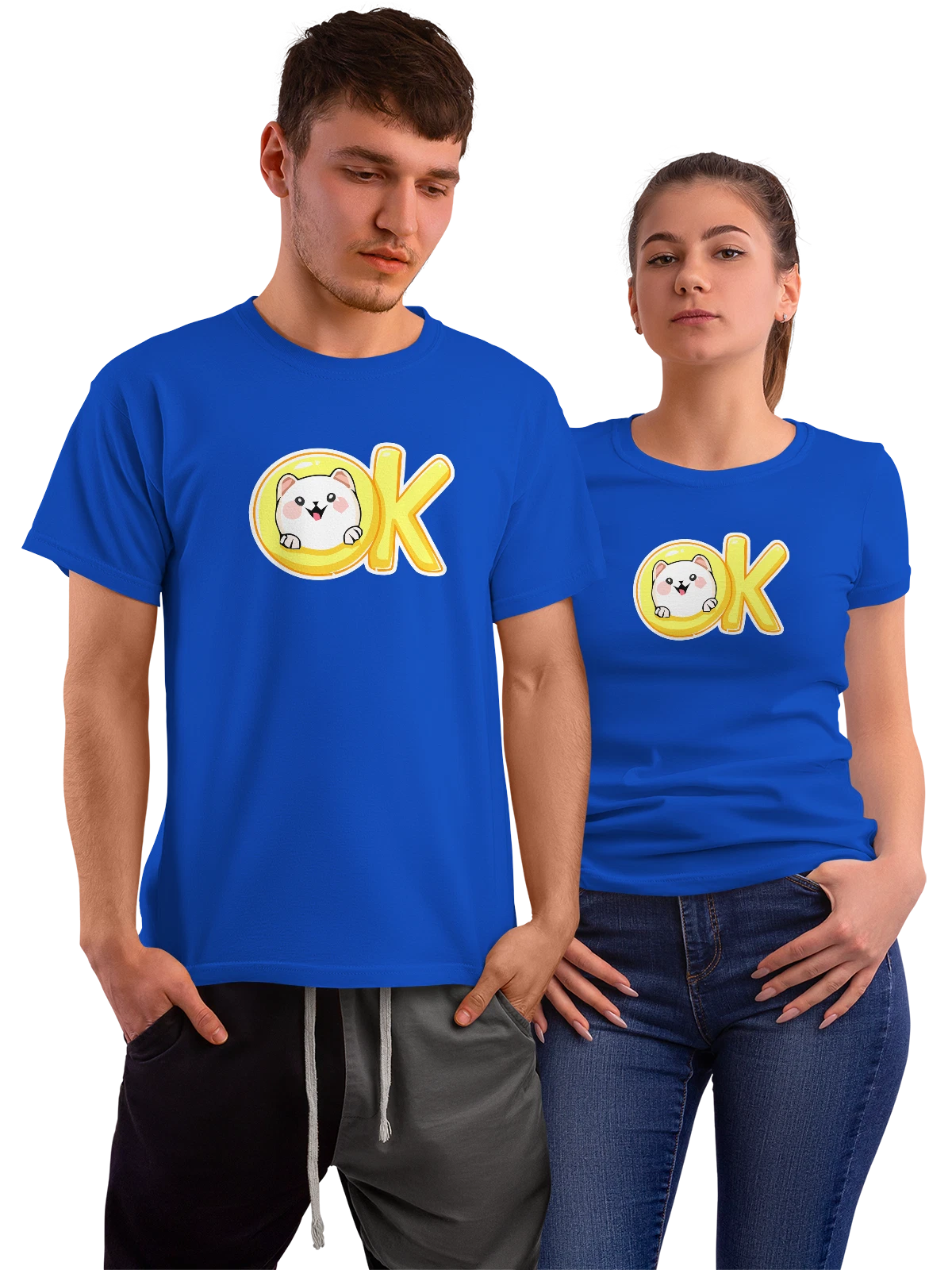 Футболка Кот ок синяя с принтом — домашний питомец — Синяя, фото 1