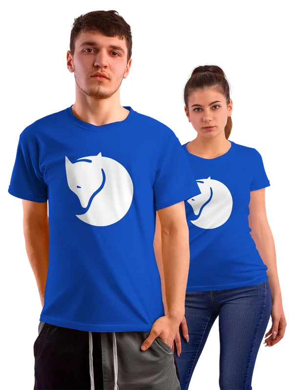 Футболка Fjallraven — Синяя, фото 1